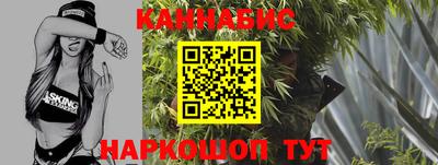 Альфа ПВП Ачхой-Мартан