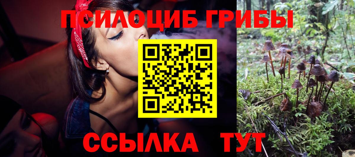 Псилоцибиновые грибы мухоморы Барнаул